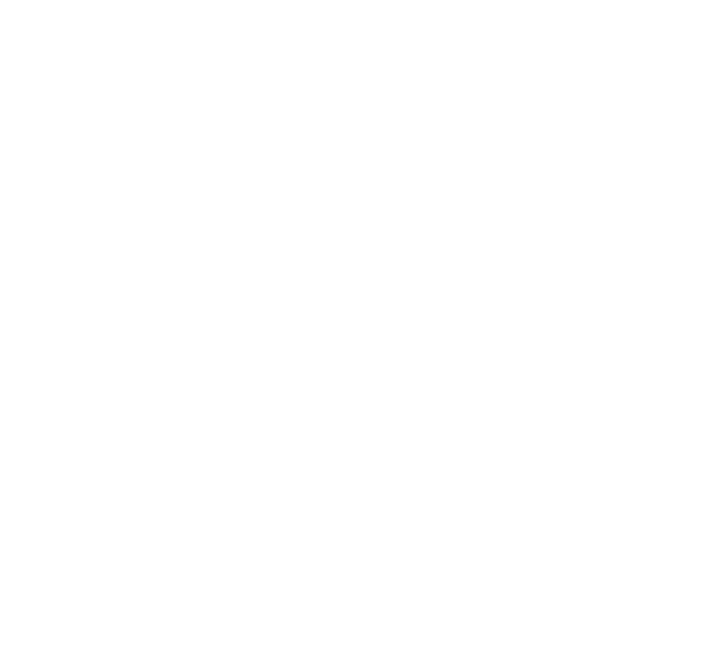 Ícone pet friendly
